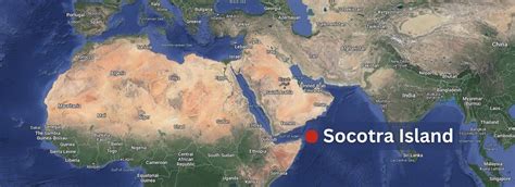 socotra island map location