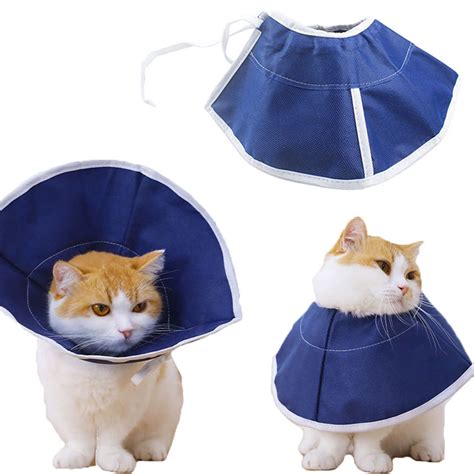 soft cat cone