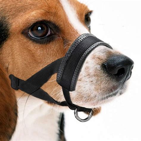 soft dog muzzle