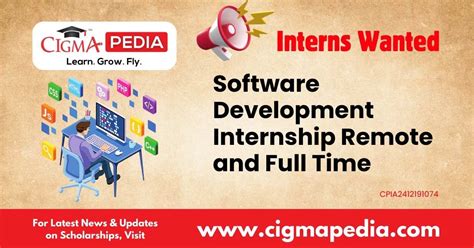 software internship remote