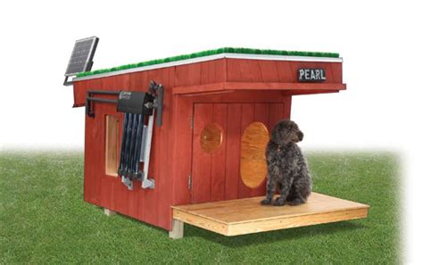 solar heated dog house