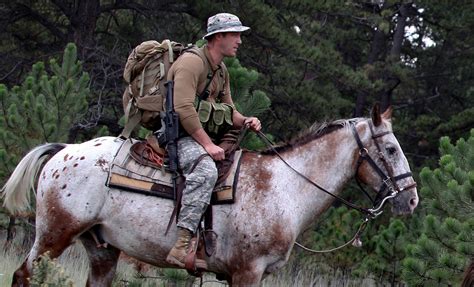 soldier of the horse Doc