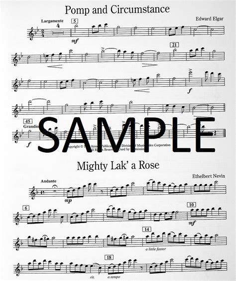 solo plus classical flute book pdf Epub