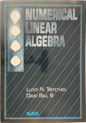 solutions manual numerical linear algebra trefethen pdf Kindle Editon