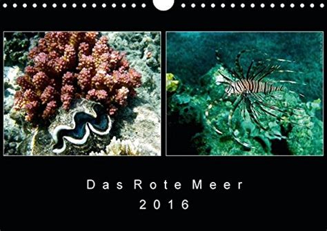 sommerfrische meer wandkalender 2016 quer PDF