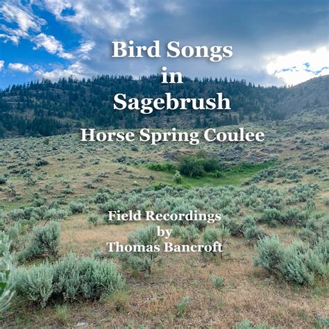 songs sagebrush recipes reminiscences springs PDF