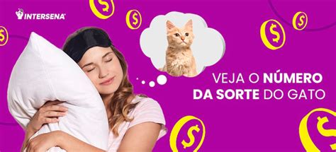 sonhar com gato número da sorte mega sena