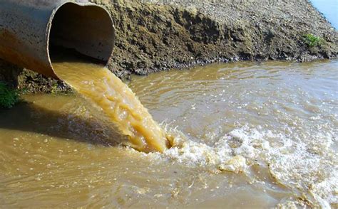 sonhar rio de agua suja