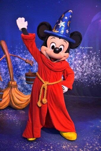 sorcerer mickey costume