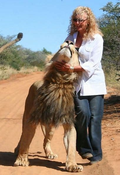 soul of a lion one womans quest to rescue africas wildlife refugees Doc