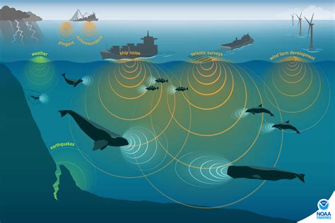 sound images of the ocean in research and monitoring PDF