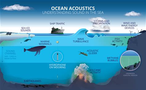 sound images of the ocean in research and monitoring PDF