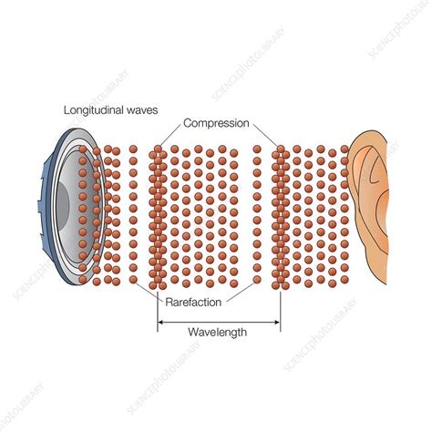 sound propagation sound propagation Kindle Editon