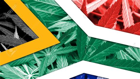 south africa parlaiment introduce legalisation of marijuana pdf PDF
