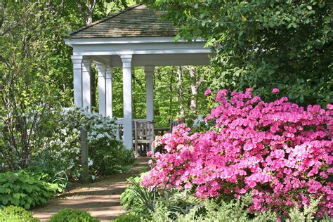 southern gardening southern gardening Epub