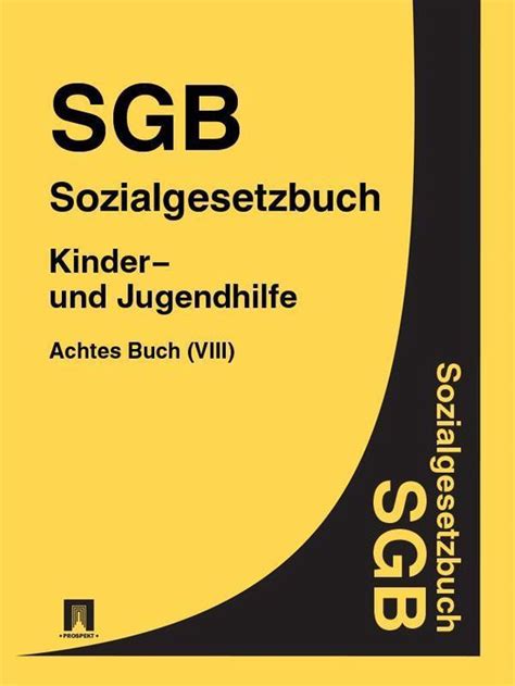 sozialgesetzbuch sgb viii kinder jugendhilfe ebook Reader