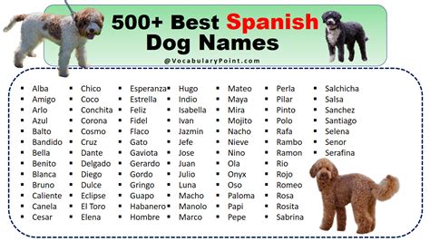 spanish puppy names