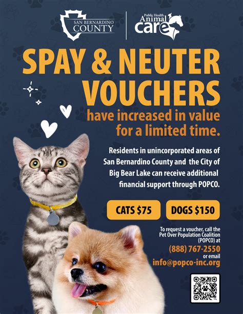 spay and neuter cheap