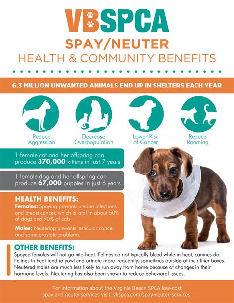 spca neuter and spay