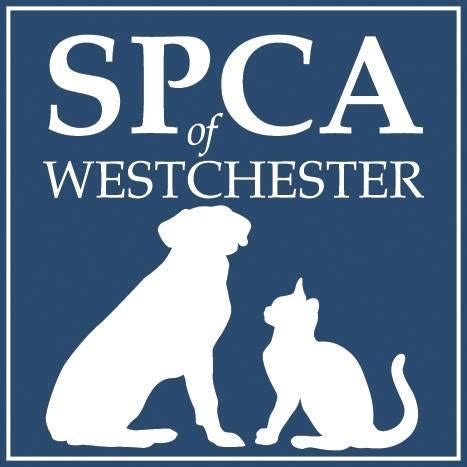 spca of westchester county briarcliff manor ny