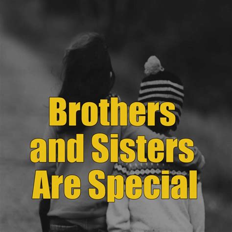 special brothers and sisters special brothers and sisters Kindle Editon