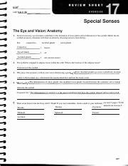 special senses review 17 answers PDF