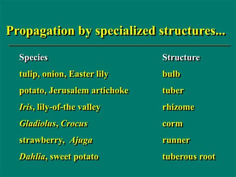 specialized structures