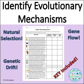 speciation and genetic drift answer key Ebook Reader