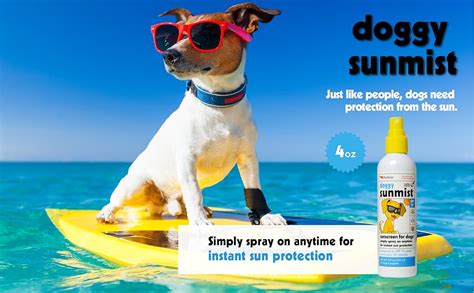 spf for dogs