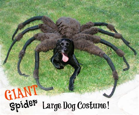 spider dog costume