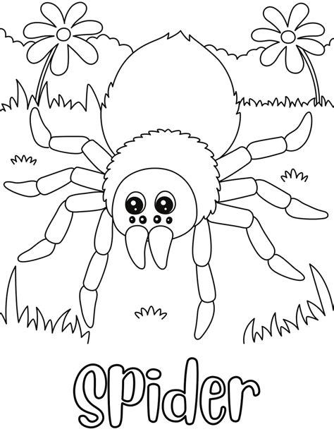 Spider Printable Coloring Pages