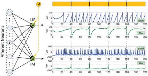 spiking neuron models spiking neuron models Doc