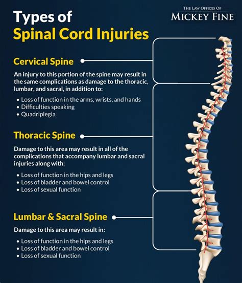 spinal cord injury spinal cord injury Kindle Editon