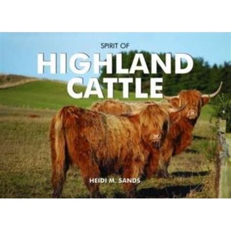 spirit of highland cattle spirit of britain Reader