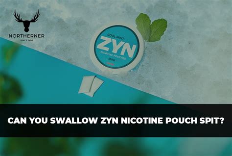 spit or swallow zyn pouches