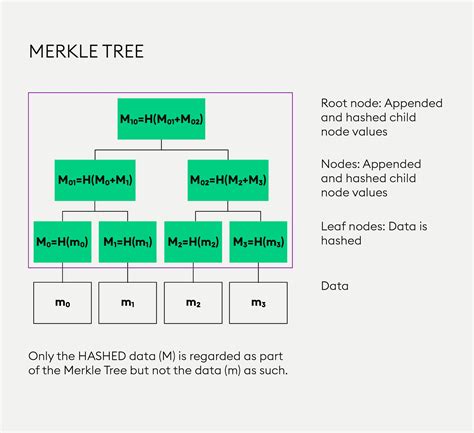 spongy merkle trees