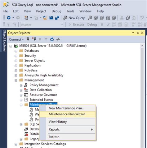 sql server export maintenance plan Epub