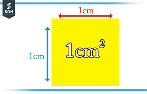 square cm to cm