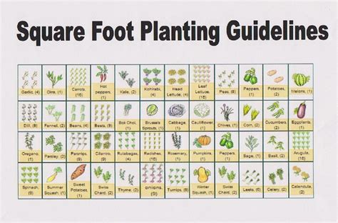 square foot gardening Epub