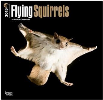 squirrels 2015 square 12x12 Doc