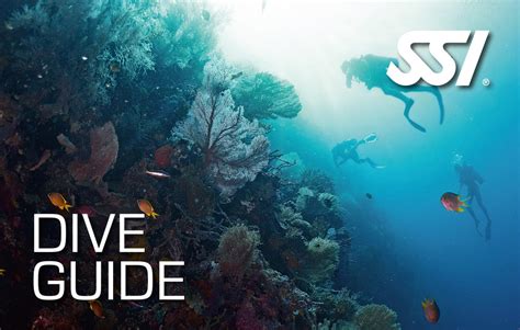 ssi dive guide program pdf PDF