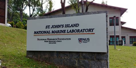 st john's island national marine laboratory