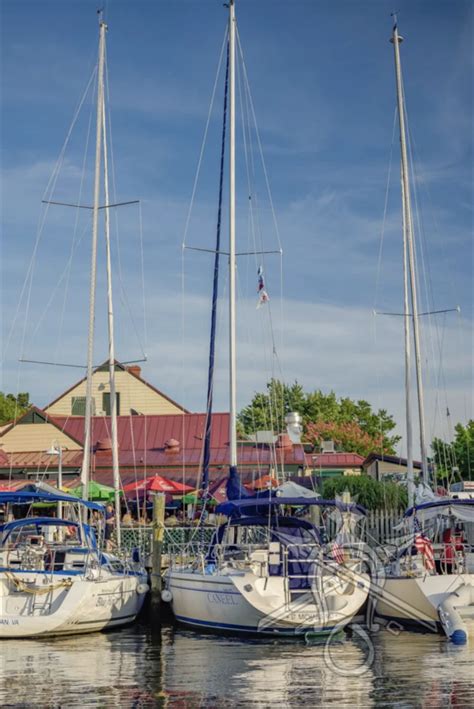 st michaels marina llc