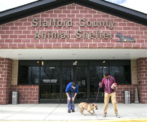 stafford county animal shelter