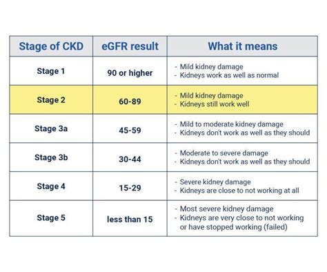 stage 2 kidney disease treatment