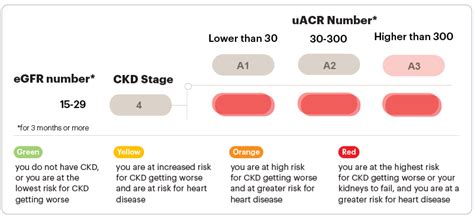 stage four kidney failure