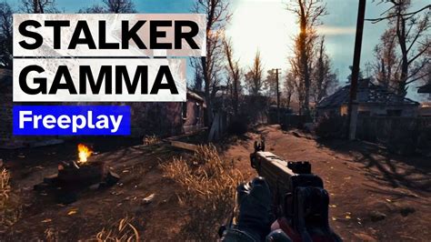 stalker gamma how to change sighjts