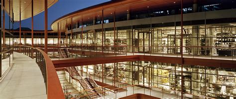 stanford university biomedical engineering