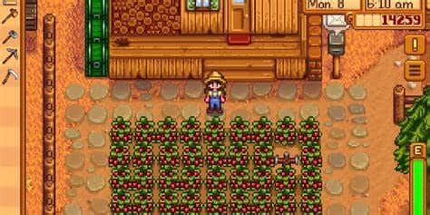 stardew cranberries