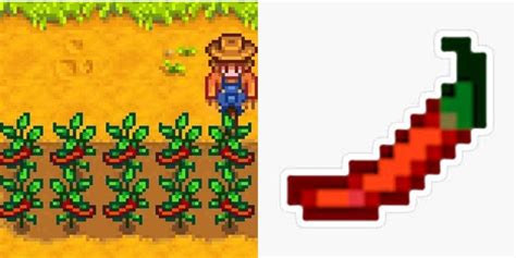 stardew hot pepper